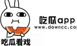 今日吃瓜网址免费 黑料,免费黑料背后的真相